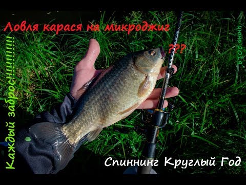 Видео: Ловля карася на микроджиг! Клюет каждый заброс!