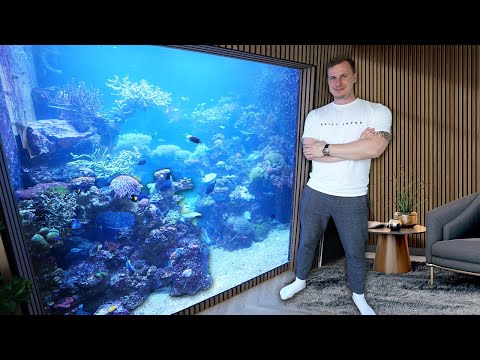 Видео: ЧАСТНЫЙ РИФОВЫЙ АКВАРИУМ на 32 000 литров в Дании