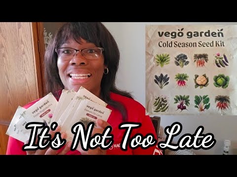 Видео: Vego Garden Осень | Зима / Полезные советы по посадке растений-наследников.