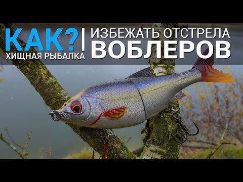 Видео: Как избежать отстрела воблеров?
