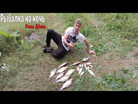 Видео: Сутки на рыбалке Ловля Фидером Лещ Разнорыбица - Река Дёма На нас напали Шершни Убийцы