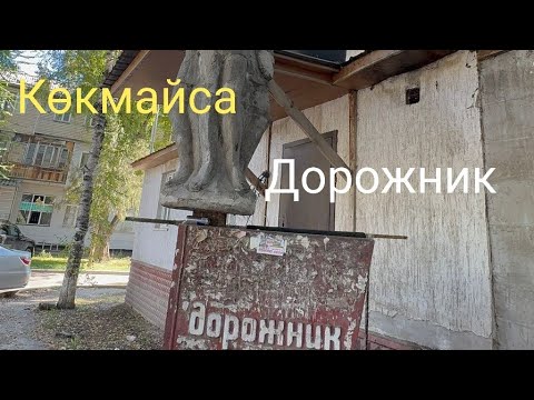 Видео: Көкмайса | Жетісу ауданы | Алматы | 04.10.2025