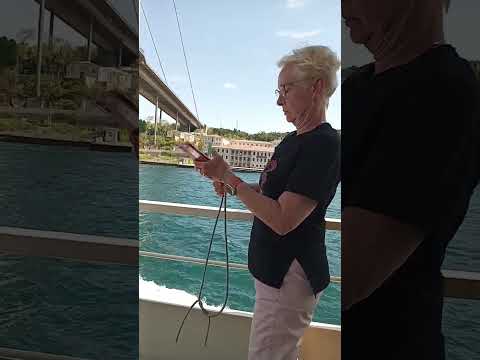 Видео: Туркияга саехат