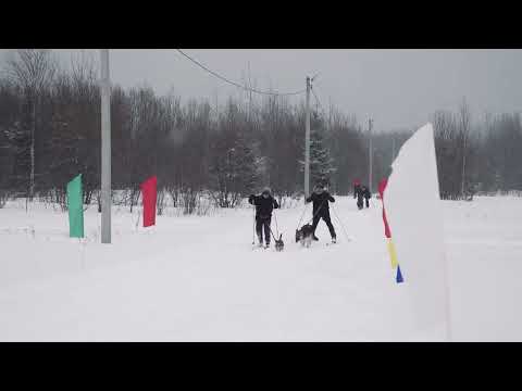 Видео: Эстафета. Взгляд глазами участника.