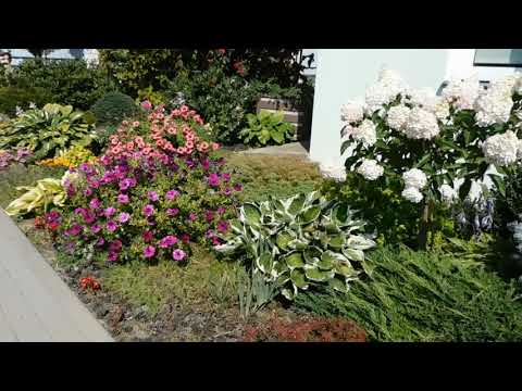 Видео: продолжаем прогулку по семейному питомнику 7соток. Вторая часть