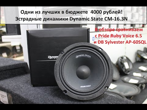 Видео: Одна из лучших эстрадных акустик в бюджете до 4500 рублей! DST CM 16.3N!