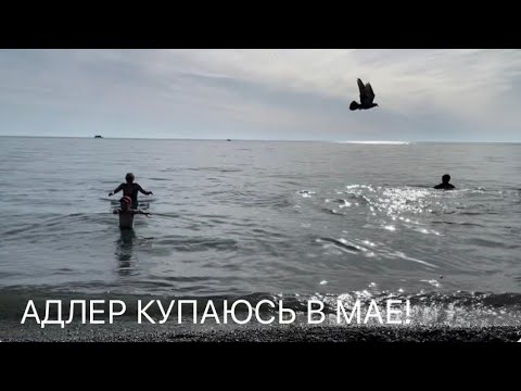 Видео: АДЛЕР ВСЕ КУПАЮТСЯ! ОБЗОР МОЕГО ОТЕЛЯ! СТОЛОВАЯ ЩИ БОРЩИ!