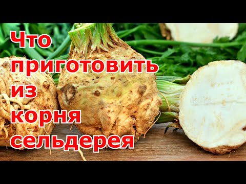 Видео: Что приготовить из корневого сельдерея. Три полезных блюда из сельдерея - драники, суп-пюре, салат.