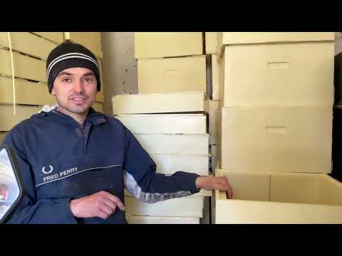 Видео: Нові пресформи для вуликів на 12 рамок