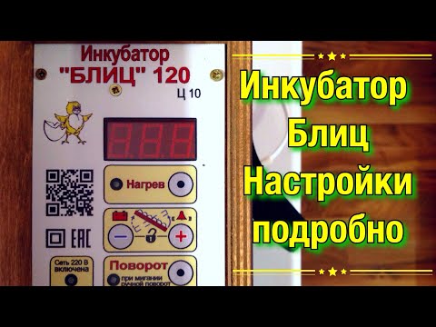 Видео: Инкубатор Блиц Ц10 на 120 яиц 🥚 / Подробные настройки и обзор инкубатора / Что нужно для инкубации