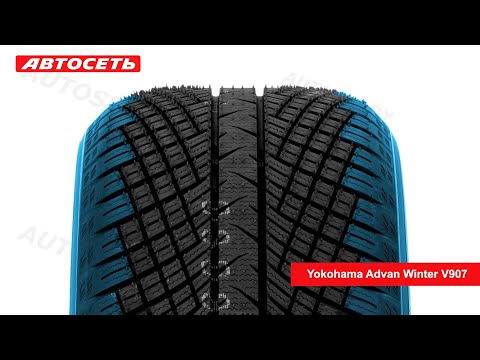 Видео: Yokohama Advan Winter V907 ❄️: обзор и отзывы @Автосеть – Шины, диски, СТО​