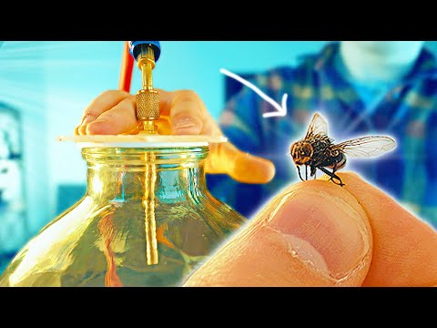 Видео: ВЗЛЕТИТ ЛИ МУХА В ВАКУУМЕ?