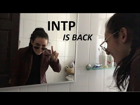 Видео: День INTP в двух словах 2
