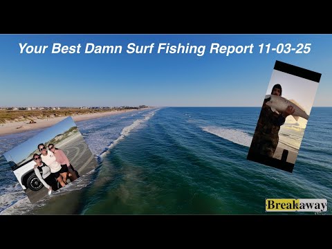 Видео: Ваш лучший отчёт о рыбалке с волнами от 03.11.2025