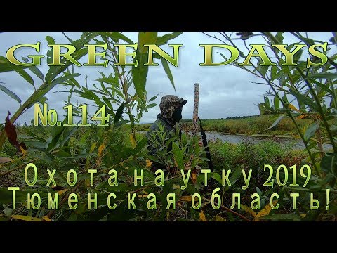 Видео: Охота на утку 2019! Тюменская область, Упоровский район!