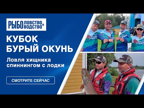 Видео: Ловля на спиннинг | Турнир “Бурый окунь” 2023