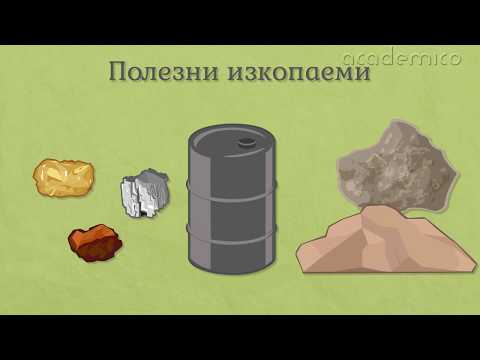 Видео: Полезни изкопаеми - География 5 клас | academico