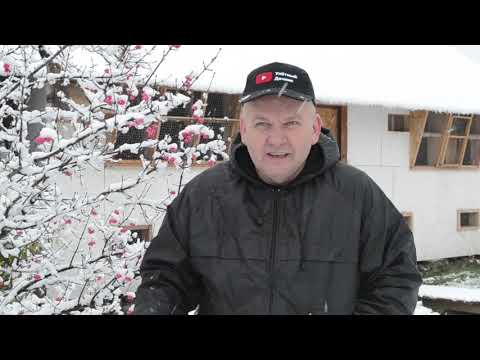 Видео: серия23.Первый снег в Вологде.Подготовка голубей к вакцинации. Профилактика от гельминтов( глистов)