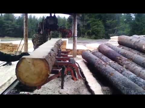 Видео: Wood-Mizer LT-40 Дизель 33 л.с. Cупер гидравлика Пилим ЁЛКУ 46 см.