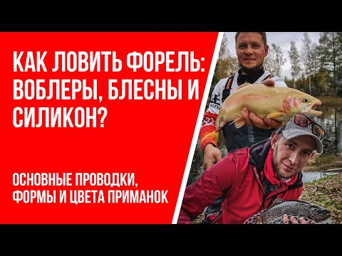 Видео: Как ловить форель на воблеры, блесны и резину?