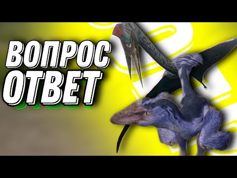 Видео: Вопрос - ответ the cursed isle