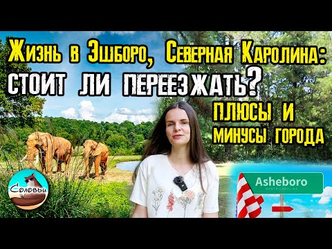 Видео: Жизнь в Эшборо, Северная Каролина: стоит ли переезжать? Плюсы и минусы города