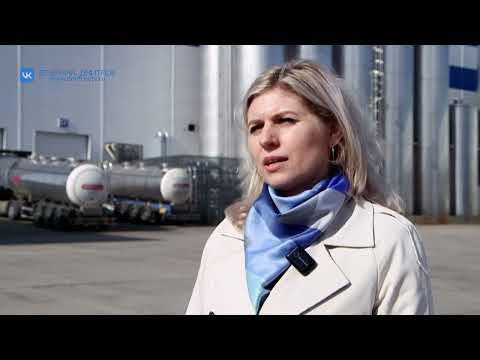 Видео: На Озерецком молочном комбинате начали выпускать новый вид сметаны