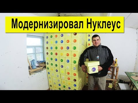 Видео: Модернизировал Нуклеус  2019 ✅ Цена на мёд 35 грн/кг