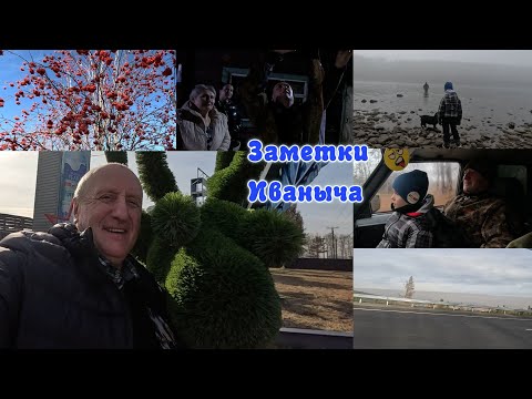 Видео: Приехал внучок, съездили в город по новой дороге и рекордный налим!