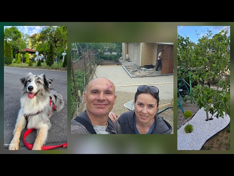 Видео: 9.Тревата никне. Тръбите в земята. Пътят - готов за бетониране.