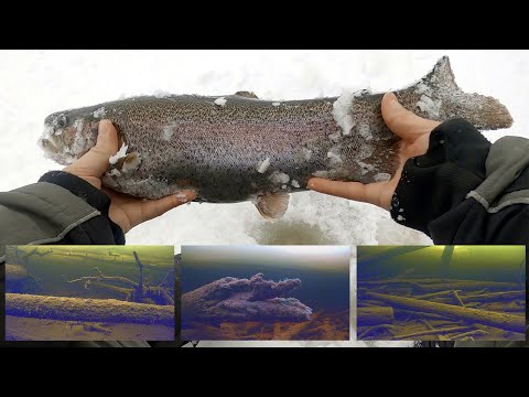 Видео: ЛОВИМ ФОРЕЛЬ В ЗАТОПЛЕННОМ ЛЕСУ! ПОДВОДНЫЕ СЪЁМКИ. НОВЫЙ БУР ВОЛЖАНКА NERO 130 SPORT