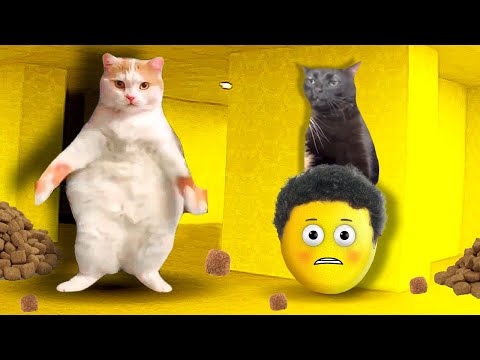 Видео: ПОБЕГ ИЗ ЗАКУЛИСЬЯ В ROBLOX