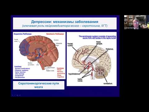 Видео: Коррекция депрессивного симптомокомплекса методом БОС. Электроэнцефалограмма
