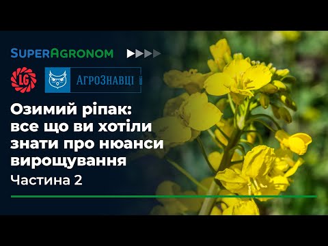 Видео: Хвороби ріпаку в насиченій сівозміні та генетична стійкість до розтріскування стручків /СуперАгроном