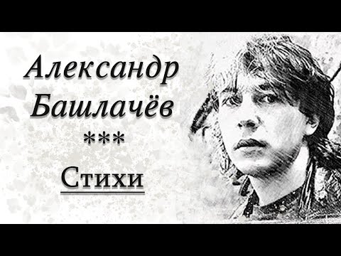 Видео: Читаю стихи А. Башлачёва - Абсолютный вахтёр