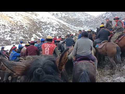 Видео: 10.02.24 Ноокат району Кара таш а/ о аламан улак