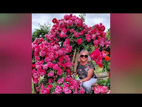 Видео: ПРОГУЛКА в RosenPark DRÄGER 🌹 Мир волшебных роз и вдохновения