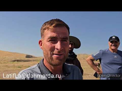 Видео: Гиссарские овцы и аборигенные САО Таджикистана саги дахмарда Ходжи Абдулхайра на перегоне