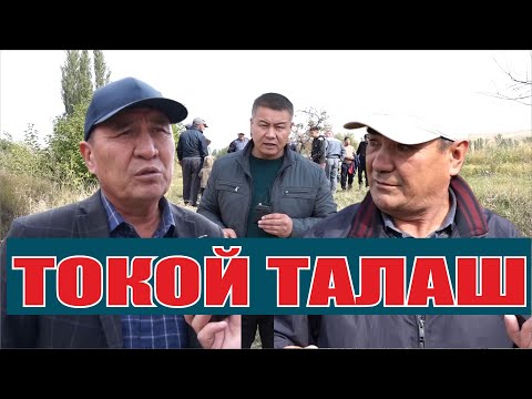 Видео: ТОКОЙ ТАЛАШ//ШИБЕГЕ