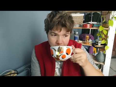 Видео: Автошкола в Сербии. Получила права? Или не получила? #жизньвсербии #автошкола 