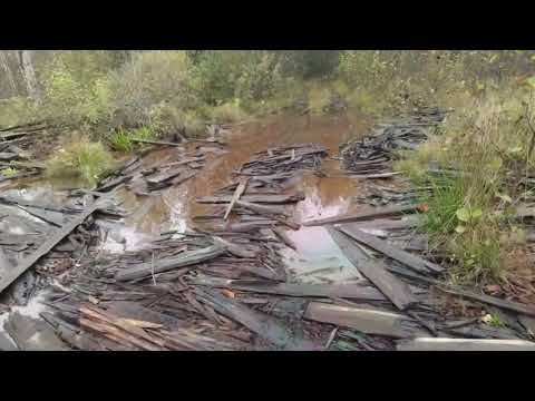 Видео: Бывшая УЖД и окрестности