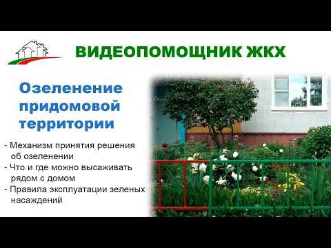 Видео: Озеленение придомовой территории