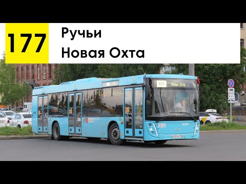 Видео: Автобус 177 "Новая Охта - Ручьи"