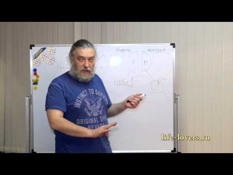 Видео: Левое и правое полушарие - явления и понятия