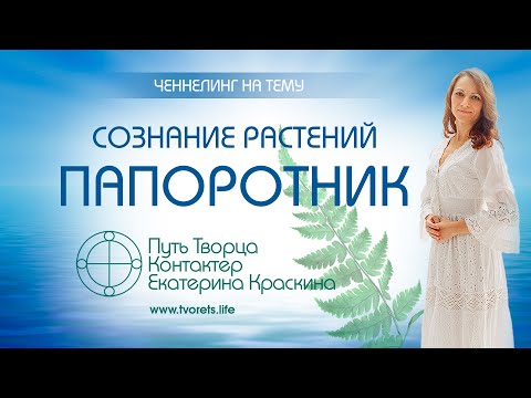 Видео: Сознание растений - папоротник | Ченнелинг