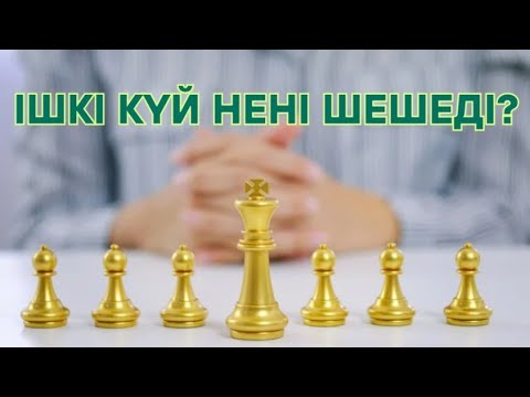 Видео: Ішкі күй нені шешеді?  #гульнаражухина #кванттықфизика #ішкіэнергия