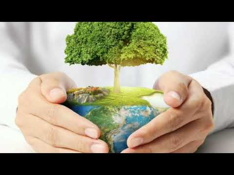 Видео: Мекен таануу сабагы 3-кл Экология деген эмне?