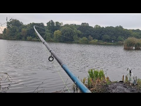 Видео: Божевільний осіній кльов! Карп летить на цю насадку по холодній воді!