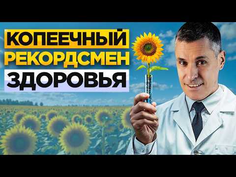 Видео: Подсолнечные семечки - копеечный рекордсмен здоровья!