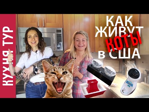 Видео: Обзор кухни и столовой. Дизайн интерьера кухни. Большая кухня в США. Рум Тур по кухне 122.